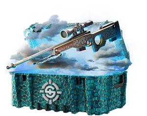 Free daily case